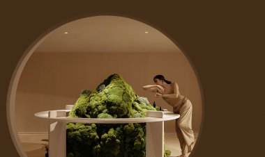 Hoormem Muscle Research Aesthetics Center by CUN PANDA NANA