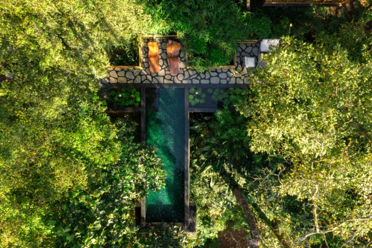 Sustainability made luxurious at this private residence in Wayanad  - Estate Plavu