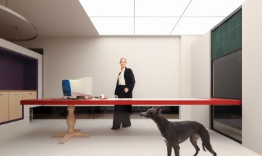 Beton Cire Paint Showroom by NDB Design