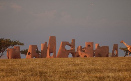 Giraffe Water Towers by ZOO Architects
