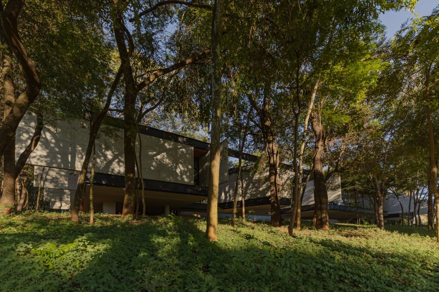 Adentro House by TETRO Architecture
