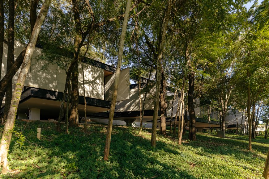 Adentro House by TETRO Architecture