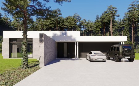 Crossline House — Residence Shaped by Two Intersecting Walls