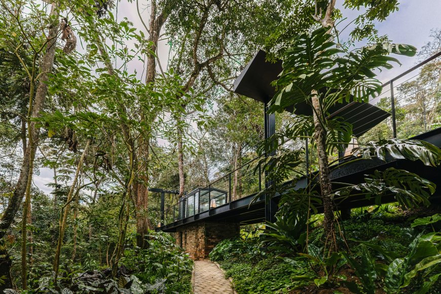 Deck Açucena